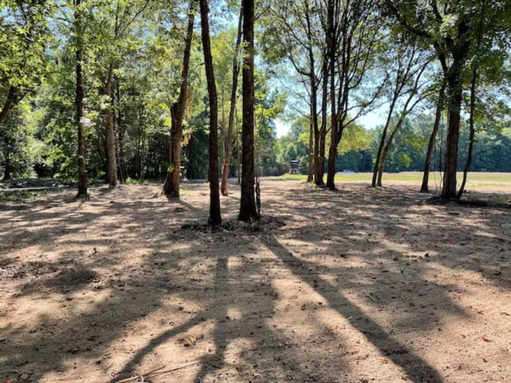 Charming Tiny Home! Close To Oxford, Sardis Lake, Safari Animal Zoo מראה חיצוני תמונה