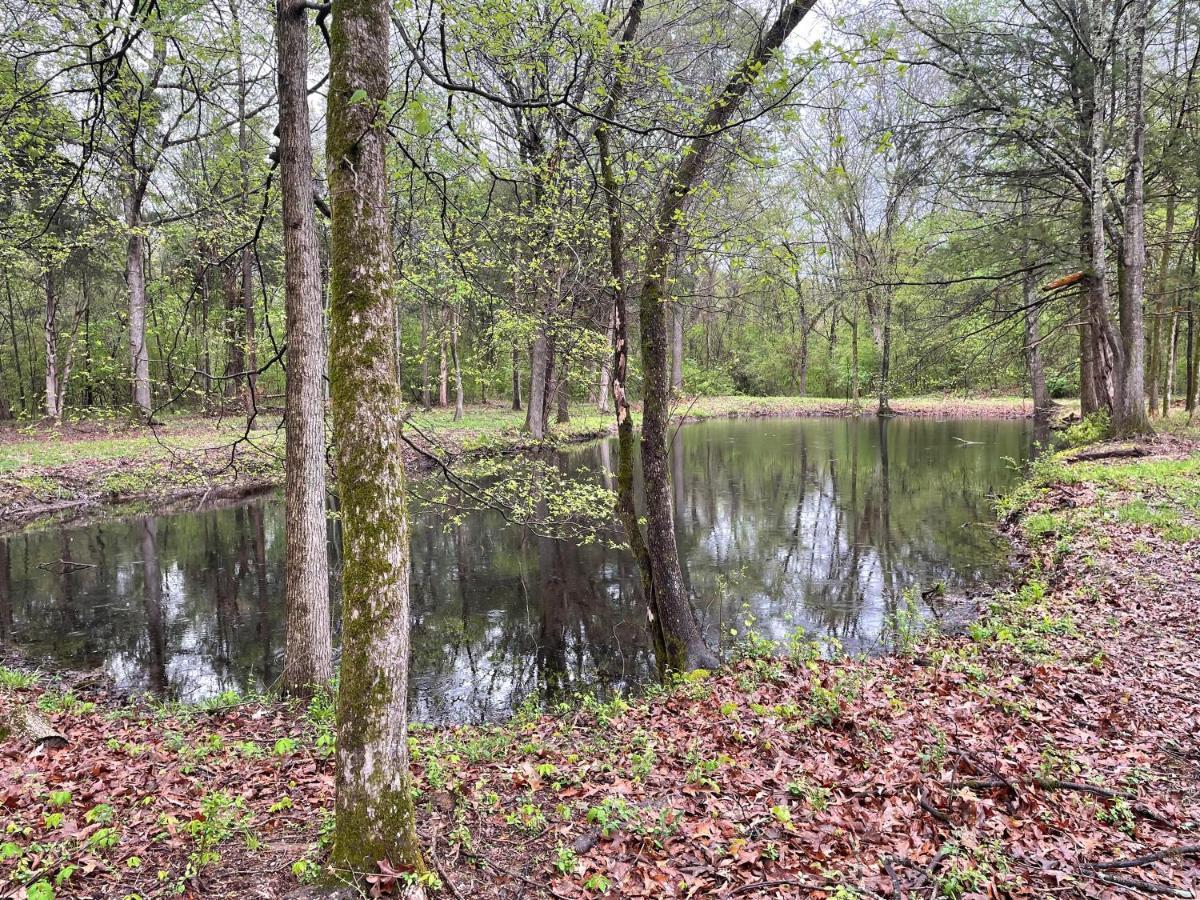 Charming Tiny Home! Close To Oxford, Sardis Lake, Safari Animal Zoo מראה חיצוני תמונה