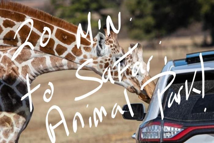 Charming Tiny Home! Close To Oxford, Sardis Lake, Safari Animal Zoo מראה חיצוני תמונה